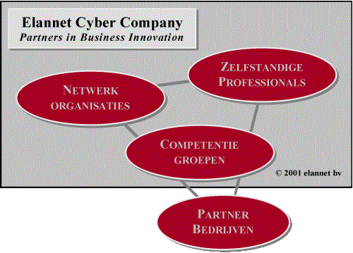 Elannet Cyber Company: Partners in Business Innovation