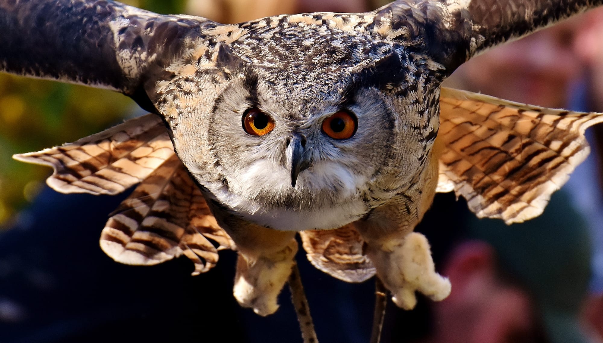 Geld en schuld in vogelvlucht